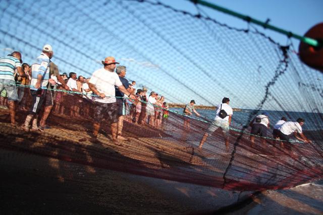 Affittacamere Pacifica 2*